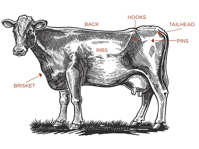 BCS is gauged by looking at six spots on a cow, Image by Getty Images